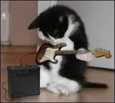 Un chat pas comme les autres !  La la la  est une chanson sortie en 2009 du groupe amricain :