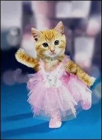 Alors on danse ! Dans le troisime couplet de la chanson  Alors on danse , on chante aussi  la, la, la . Cette chanson a fait connatre le chanteur belge :