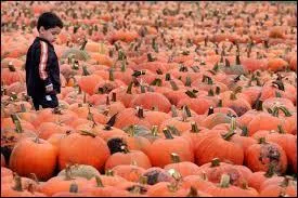 En Russie, il est interdit de clbrer Halloween dans les coles de Moscou :