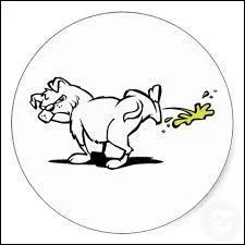 Le mot commence par : Pro ...