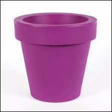 Le mot commence par : Pro ...