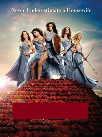 Retrouvez le titre de cette srie :