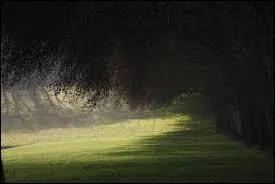 Qui chantait  Ma vie ... j'en ai vu des amants, Ma vie ... l'amour a fout le camp  ?