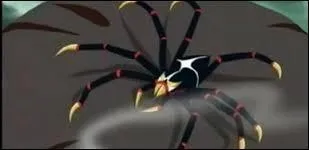 L'araigne a mordu :
