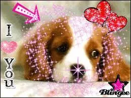 Comment appelons-nous le bb du chien ?