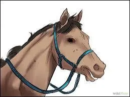 Pour ralentir et arrter un cheval, que doit-on faire ?