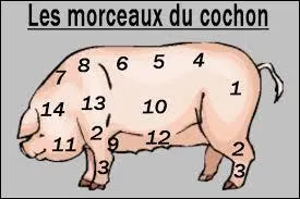 Un intrus s'est gliss parmi ces morceaux de porc, trouvez-le.