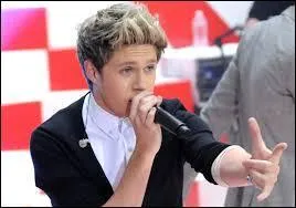 Qu'avait-il propos comme nom de groupe avant que Harry ne dise One Direction ?