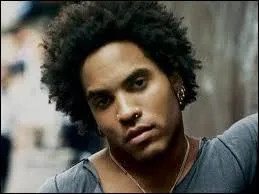 A quel groupe appartient ce chanteur ?