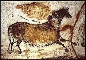 Pourquoi l'homme a-t-il fait des dessins o la roche n'tait pas lisse ?