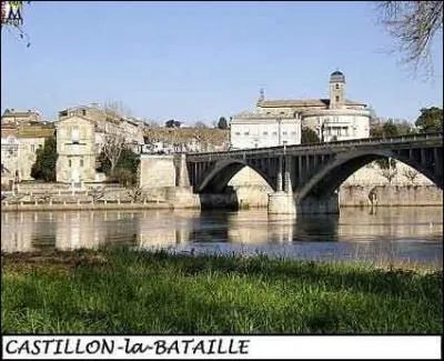 Cette paisible bourgade d'Aquitaine, Castillon-la-Bataille, vcut en 1453 un combat dterminant. Pourquoi ?