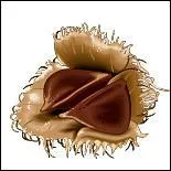 Si vous vous trouvez sous un htre, quels fruits avez vous  vos pieds ?