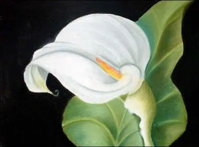 Quelle est cette fleur ?