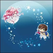 De quel manga viennent ces 2 petits chibis trop mignons et comment s'appellent-ils ?