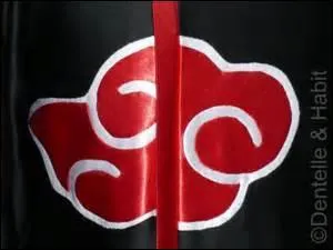 De combien de membres l'Akatsuki est-elle compose au dpart (sans compter Orochimaru) ?