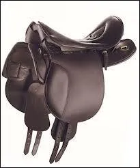 De quel genre de selle s'agit-il ?