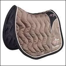 Comment s'appelle ceci ?