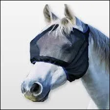 Comment s'appelle ceci ?