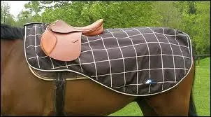 Comment s'appelle le tissu que porte le cheval sur son dos ?