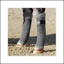 Comment s'appelle ceci ?