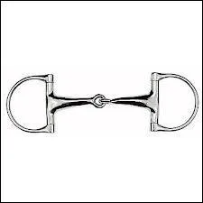 Comment s'appelle ce mors ?