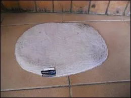 Et enfin quel est ceci ?