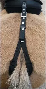 Pourquoi met-on une croupiére ?