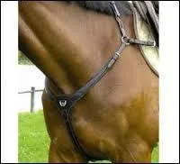 Quel est le nom de ceci ?