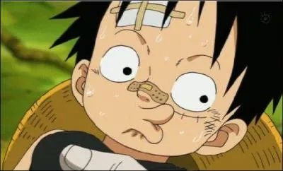Que fait Luffy ?