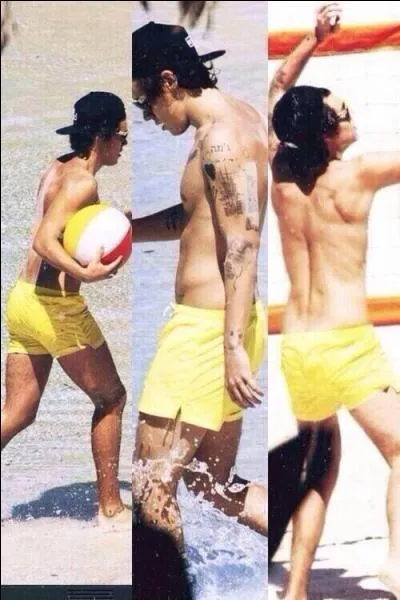 Pendant un photo shoot, quel animal a-t-il fait caca sur Harry ?