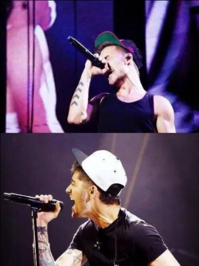 Quelle chanteuse fera-t-elle la premire partie du Where We Are Tour ?