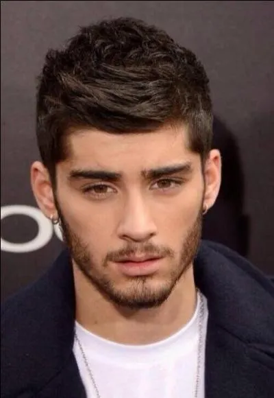 Quel animal, hors du commun, Zayn a-t-il achet rcemment ?