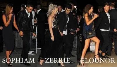 Comment les petites amies de Liam, Zayn et Louis s'appellent-elles ?