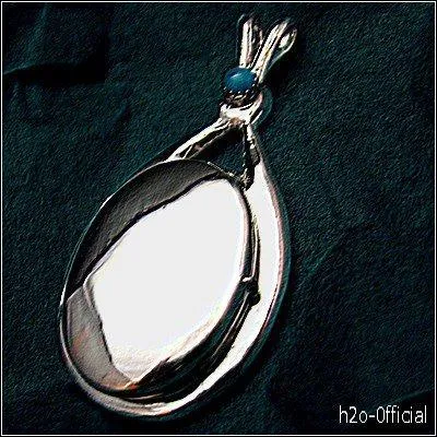  qui appartient le collier de Gracie ?