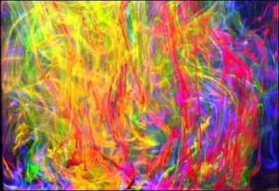 Les trois filles Rikki, Emma et Clo semblent avoir toutes les trois une couleur ftiche dans le film , laquelle ?