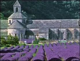 Qu'a de particulier l'abbaye de Snanque, dans le Vaucluse ?