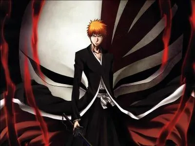 Qui est le hros de  Bleach  ?