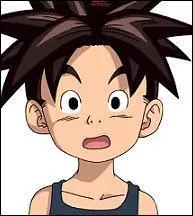 Qui est le hros de  Blue Dragon  ?