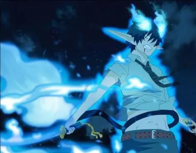 Qui est le hros de  Ao no Exorcist  ?