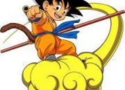 Quiz Dragon Ball : tome double n1