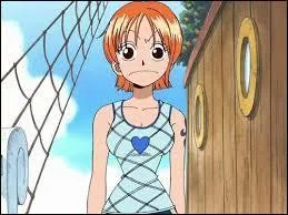 Nami est cartographe et navigatrice.