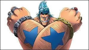 On voit Franky pour la 1re fois  Water Seven.