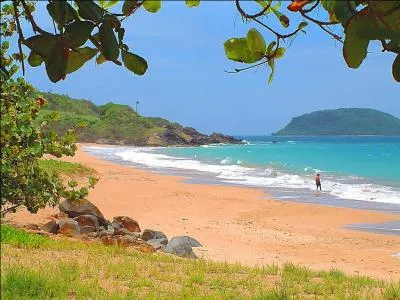 Les Antilles sont un grand archipel situ dans la mer des Carabes,  l'est de l'Amrique centrale. On peut distinguer les Petites Antilles et les Grandes Antilles. Quelle le ne se trouve pas dans les Petites Antilles mais dans les Grandes Antilles ?