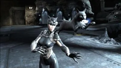 Comment s'appelle le chat de Catwoman ?