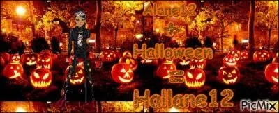 De quelle rseau ce site fait-il partie ?