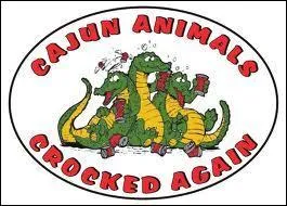 Etant donn la chaleur tropicale humide du coin, il y a pas mal de moustiques. Comment les appellent-on en cajun ?