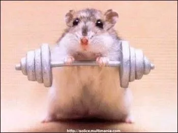 Ses muscles sont en pleine forme ! 17 jours aprs la mort, certaines cellules des muscles sont encore vivantes :