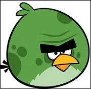 Que fait l'Angry Bird vert ?