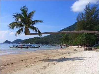 Nous sommes  ... ... ... en Thalande. Dj, la Thalande, a nous sduit par ses plages et tout, mais quand on sait que c'est un lieu phare de la plonge, et qu'en plus, c'est pas cher d'en faire, ben, on est carrment... love.