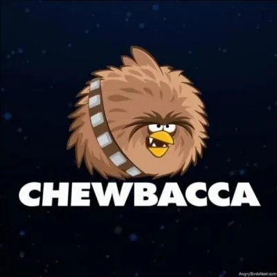 Que fait chewbacca ?